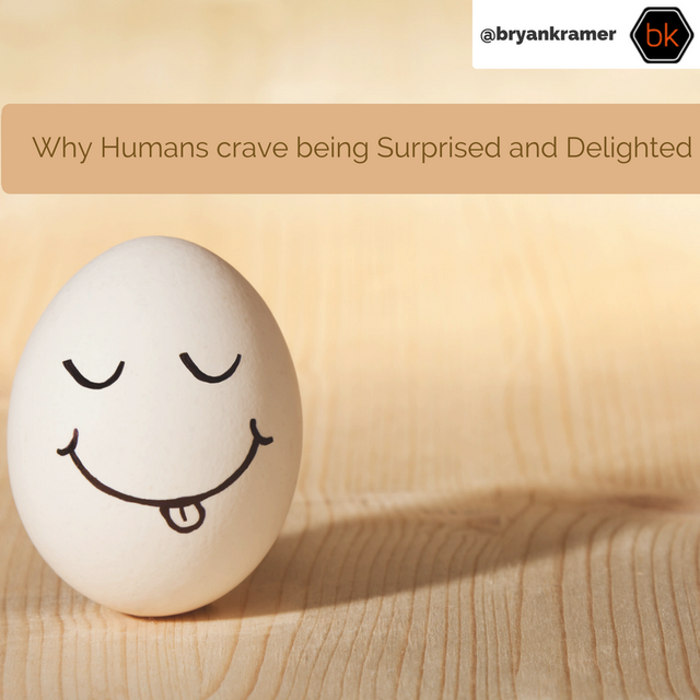 Why Humans crave being Surprised and Delighted